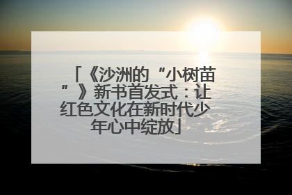 《沙洲的“小树苗”》新书首发式：让红色文化在新时代少年心中绽放