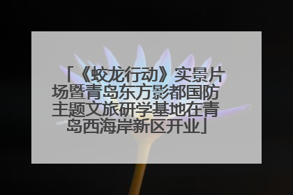 《蛟龙行动》实景片场暨青岛东方影都国防主题文旅研学基地在青岛西海岸新区开业