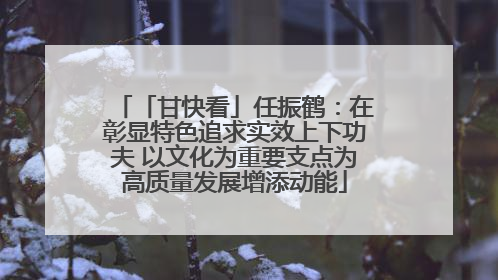 「甘快看」任振鹤：在彰显特色追求实效上下功夫 以文化为重要支点为高质量发展增添动能
