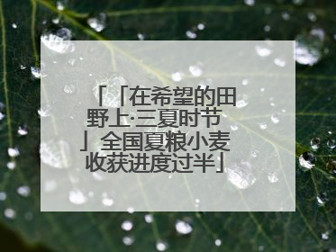 「在希望的田野上·三夏时节」全国夏粮小麦收获进度过半