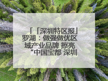 「深圳特区报」罗湖：做强做优区域产业品牌 擦亮“中国宝都 深圳水贝”金字招牌