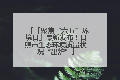 「聚焦“六五”环境日」最新发布！日照市生态环境质量状况“出炉”