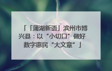 「蒲湖新语」滨州市博兴县：以“小切口”做好数字惠民“大文章”