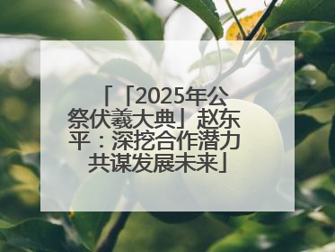 「2025年公祭伏羲大典」赵东平：深挖合作潜力 共谋发展未来