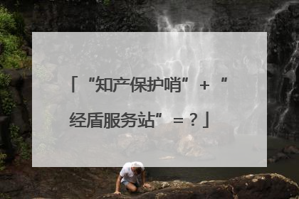 “知产保护哨”+“经盾服务站”=？