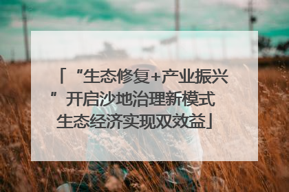 “生态修复+产业振兴”开启沙地治理新模式 生态经济实现双效益