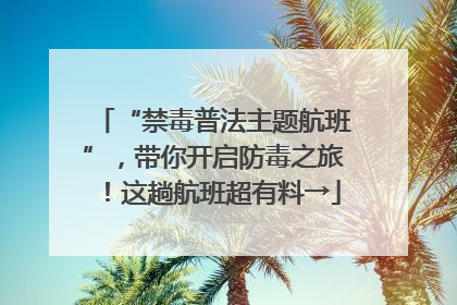 “禁毒普法主题航班”，带你开启防毒之旅！这趟航班超有料→