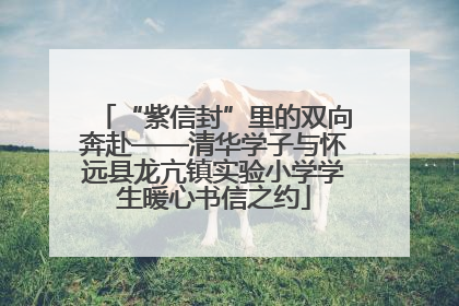 “紫信封”里的双向奔赴——清华学子与怀远县龙亢镇实验小学学生暖心书信之约