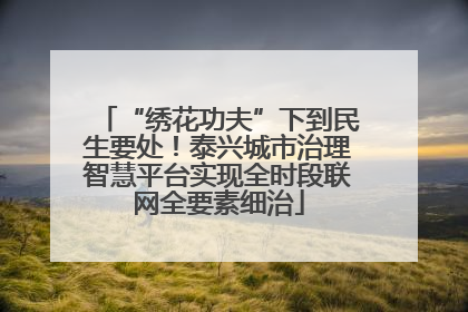 “绣花功夫”下到民生要处！泰兴城市治理智慧平台实现全时段联网全要素细治