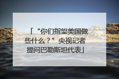 “你们指望美国做些什么？”央视记者提问巴勒斯坦代表