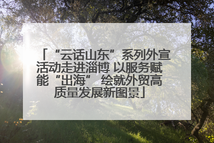 “云话山东”系列外宣活动走进淄博 以服务赋能“出海” 绘就外贸高质量发展新图景