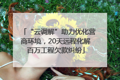 “云调解”助力优化营商环境，20天远程化解百万工程欠款纠纷