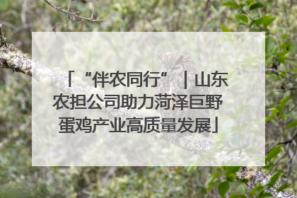 “伴农同行”｜山东农担公司助力菏泽巨野蛋鸡产业高质量发展