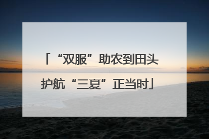 “双服”助农到田头 护航“三夏”正当时