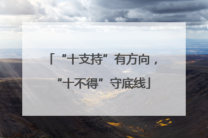 “十支持”有方向，“十不得”守底线