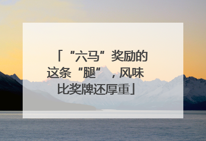 “六马”奖励的这条“腿”，风味比奖牌还厚重