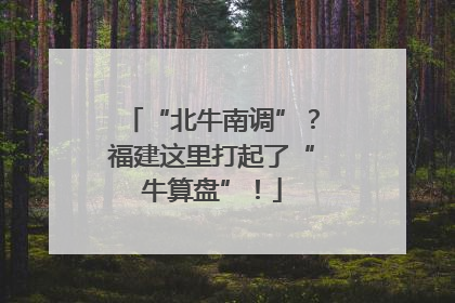 “北牛南调”？福建这里打起了“牛算盘”！