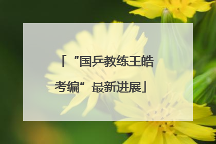 “国乒教练王皓考编”最新进展
