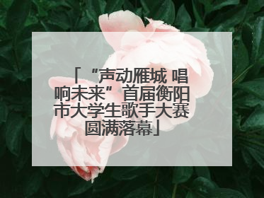 “声动雁城 唱响未来”首届衡阳市大学生歌手大赛圆满落幕