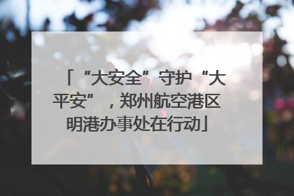 “大安全”守护“大平安”，郑州航空港区明港办事处在行动