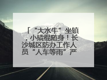 “大水牛”坐镇，小撬棍随身！长沙城区防办工作人员“人车等雨”严阵以待