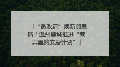 “微改造”焕新邻里情！温州鹿城推进“巷弄里的安居计划”