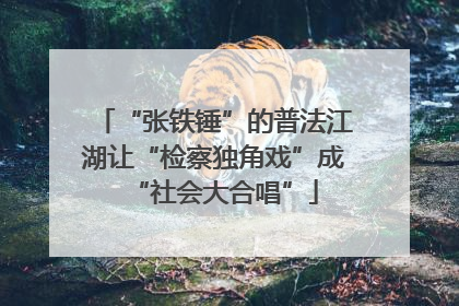“张铁锤”的普法江湖让“检察独角戏”成“社会大合唱”