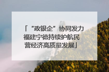 “政银企”协同发力 福建宁德持续护航民营经济高质量发展