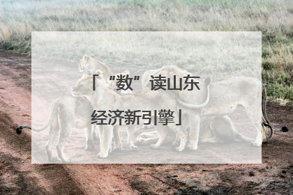 “数”读山东经济新引擎