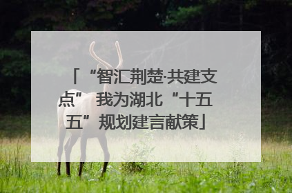 “智汇荆楚·共建支点” 我为湖北“十五五”规划建言献策