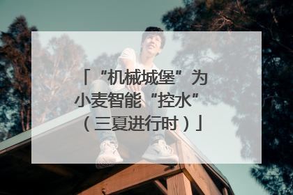 “机械城堡”为小麦智能“控水”（三夏进行时）