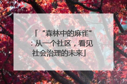 “森林中的麻雀”：从一个社区，看见社会治理的未来