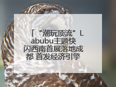 “潮玩顶流”Labubu主题快闪西南首展落地成都 首发经济引擎再添动能