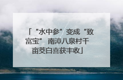 “水中参”变成“致富宝” 南漳八泉村千亩茭白喜获丰收