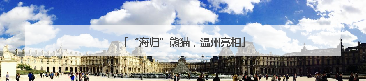 “海归”熊猫，温州亮相