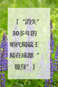 “消失”30多年的明代蜀端王陵在成都“现身”