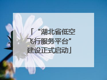“湖北省低空飞行服务平台”建设正式启动