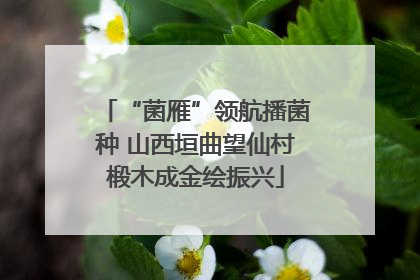 “菌雁”领航播菌种 山西垣曲望仙村椴木成金绘振兴
