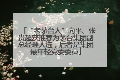 “老茅台人”向平、张贵超获推荐为茅台集团副总经理人选，后者是集团最年轻党委委员