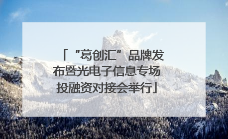“葛创汇”品牌发布暨光电子信息专场投融资对接会举行
