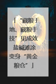 “藏粮于地、藏粮于技”见成效 盐碱滩涂变身“黄金粮仓”