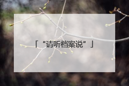 “请听档案说”