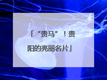 “贵马”！贵阳的亮丽名片