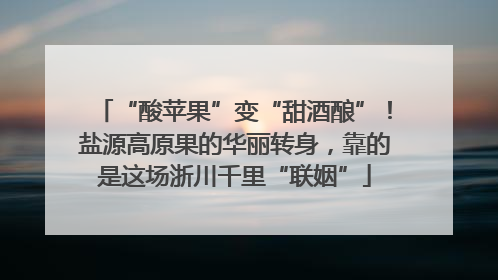 “酸苹果”变“甜酒酿”！盐源高原果的华丽转身，靠的是这场浙川千里“联姻”