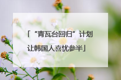“青瓦台回归”计划让韩国人喜忧参半