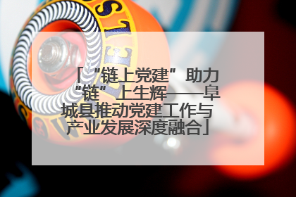 “链上党建”助力“链”上生辉——阜城县推动党建工作与产业发展深度融合