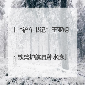 “铲车书记”王亚明：铁臂护航夏种水脉