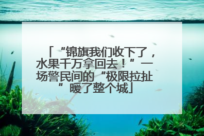 “锦旗我们收下了，水果千万拿回去！”一场警民间的“极限拉扯”暖了整个城