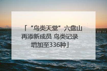 “鸟类天堂”六盘山再添新成员 鸟类记录增加至336种
