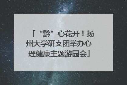 “黔”心花开！扬州大学研支团举办心理健康主题游园会